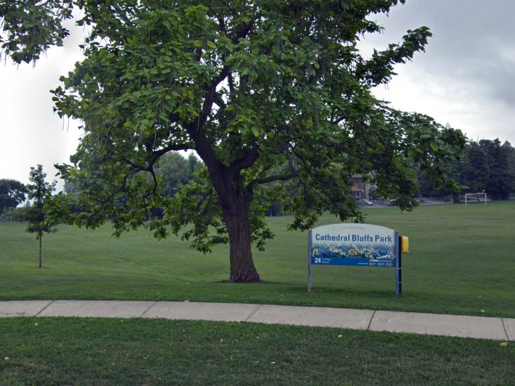Senior Care services Cliffcrest